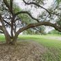Boerne City Park