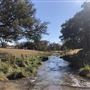 Hidden Springs Ranch