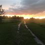 Snake Prairie