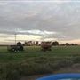 Snake Prairie
