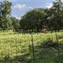 Rural Farm - Two House Property