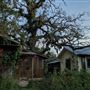 Rural Farm - Two House Property