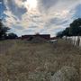 Rose Ranch