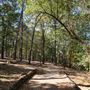 Synergy Park