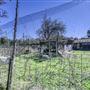 Rural Farm - Two House Property
