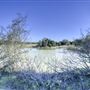 Rural Farm - Two House Property