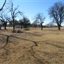 Miles City Park