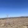 Studio Estates Acres
