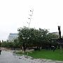 Nasher Sculpture Center