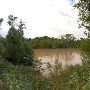 Brazos River Bridge at Hwy 105 W