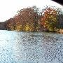 Blanco River in Wimberley