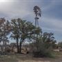 Steinhaus Ranch