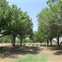 Miles City Park