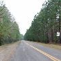 Lake Livingston State Park