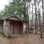 Lake Livingston State Park