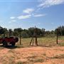 Gemini Movie Ranch