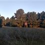 Scottsville Property
