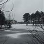 Scottsville Property