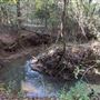 Scottsville Property