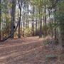 Scottsville Property