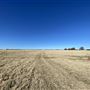 Fairlea Longhorn Ranch