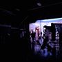 Stray Vista Studios