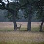 Wimberley Valley Vistas Ranch