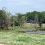 Maysel Ranch