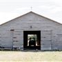 Shirttail Creek Farm