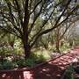 Clark Gardens Botanical Park
