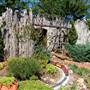 Clark Gardens Botanical Park
