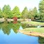 Clark Gardens Botanical Park