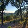 Kestrel Ranch