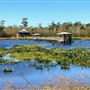 Cattail Marsh Scenic Wetlands & Boardwalk