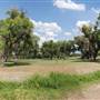 Big Bend National Park - Rio Grande Village