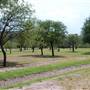 Big Bend National Park - Rio Grande Village