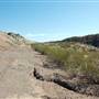 Horseback Riding Trails