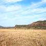 CF Ranch