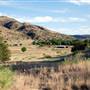 CF Ranch