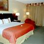 Holiday Inn Austin Midtown