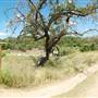 Milton Reimers Ranch County Park