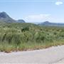 Big Bend National Park