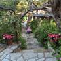 Cedars on the Brazos Bed & Breakfast