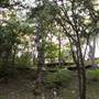 Cedars on the Brazos Bed & Breakfast