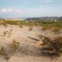 Terlingua Ghost Town