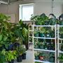 Eden Plant Co.