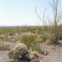 Big Bend Ranch State Park - Vista del Bofecillos