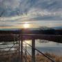 Hidden Meadows Ranch