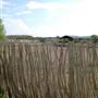Big Bend Ranch State Park - Sauceda