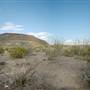 Big Bend Ranch State Park
